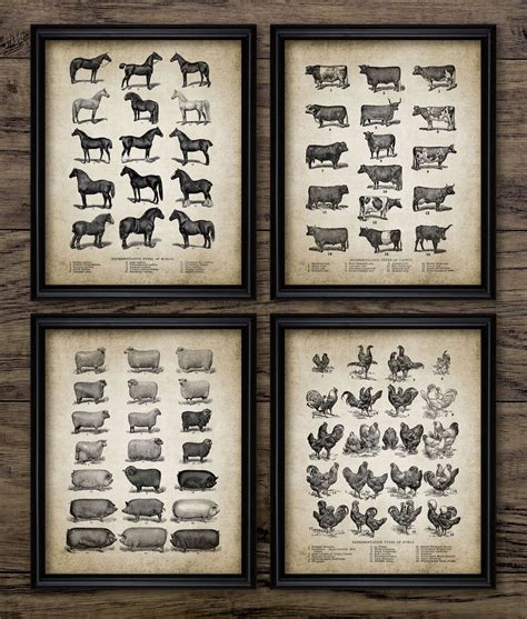 Farm Animals Wall Art Set of 4, Printable Farm Animals, Rustic Kitchen ...