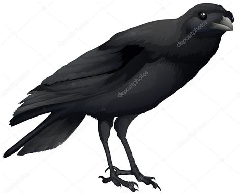 A crow Stock Vector Image by ©blueringmedia #26395163