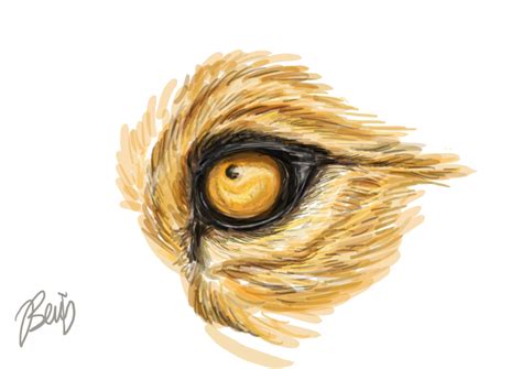 Lion Eyes Drawing at GetDrawings | Free download