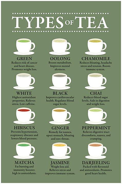 Amazon.com: Types of Tea and Their Benefits Chart Varieties Infographic ...