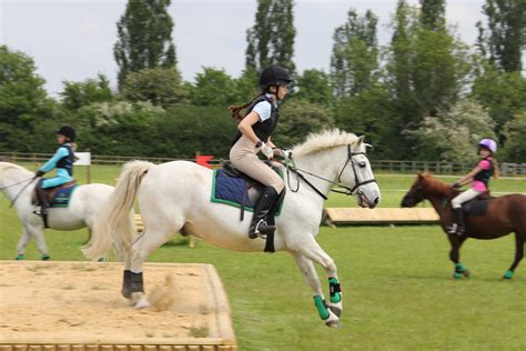 Horse riding lessons in Billericay - Chelmsford Equestrian Centre