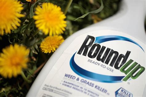 What to Know About Glyphosate, the Pesticide in Roundup Weed Killer