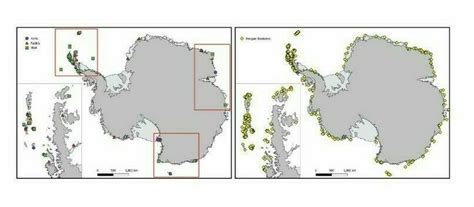 Future sea level rise in Aotearoa and… | Antarctica New Zealand