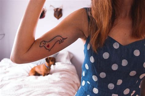 The Story of My New Tattoo ♥ · steffy's pros + cons | Tattoos, New tattoos, Silhouette tattoos