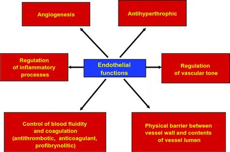 Endothelial Dysfunction and Microalbuminuria - CME INDIA