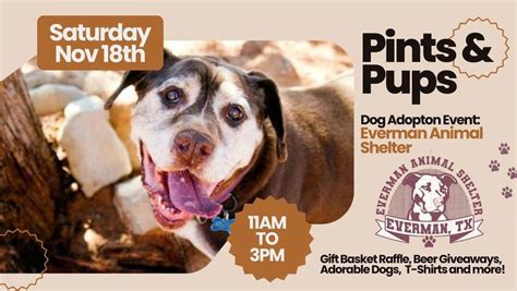 Pints & Pups Dog Adoption Event | Downtown Fort Worth