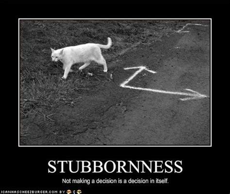 STUBBORNNESS | Hulk, Smash! | Flickr