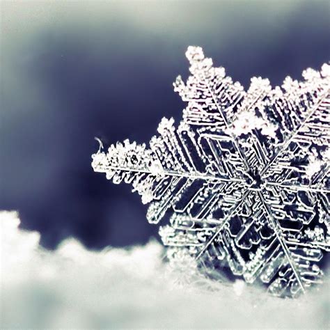 Snow Crystal Wallpapers - Top Free Snow Crystal Backgrounds ...