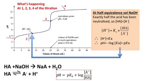 The Ph At One Half The Equivalence Point In An Acid Base Titration | Free Hot Nude Porn Pic Gallery