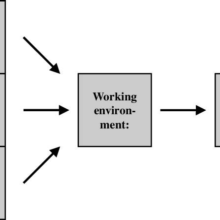 Lean effects on working environment and employee health and well-being ...