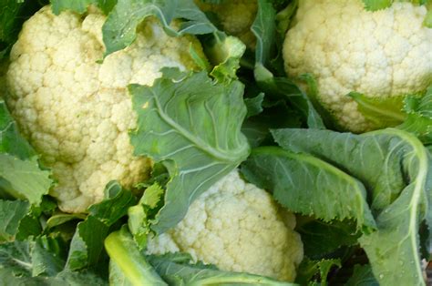 Cauliflower | Recipes from Nash's Organic Produce