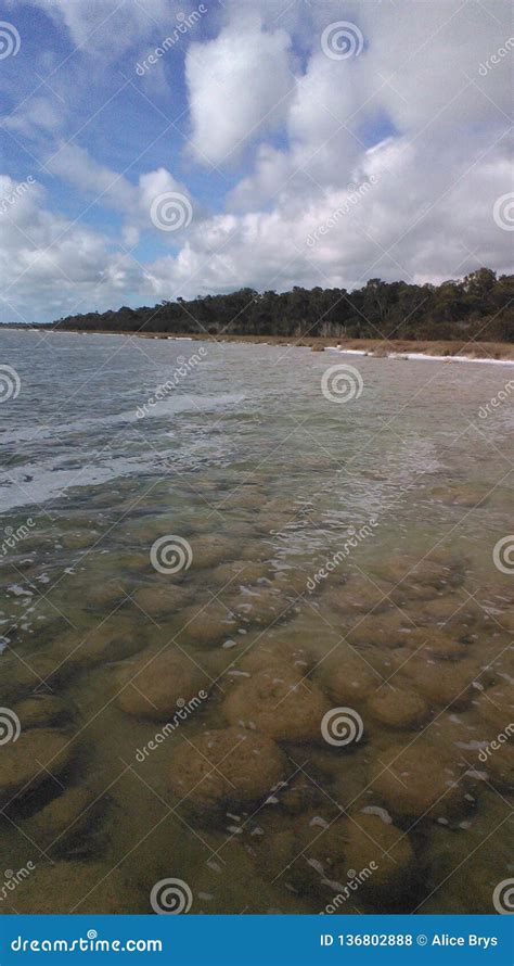 The thrombolites stock photo. Image of water, australia - 136802888