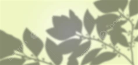 Plant Shadow Creative Colorful Background Design, Paper, Event, Concept ...