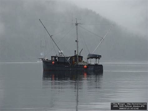 Pelican Alaska