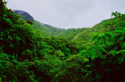 Amazon River Wallpapers - Wallpaper Cave