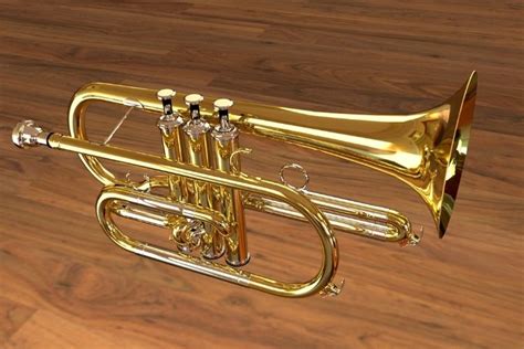 How to Play the Cornet Even If You've Never Played Before