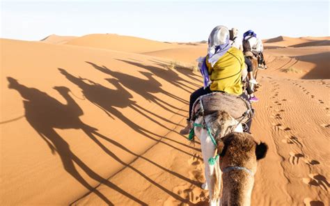 Was the Sahara Desert Once a Green Oasis? | Wonderopolis