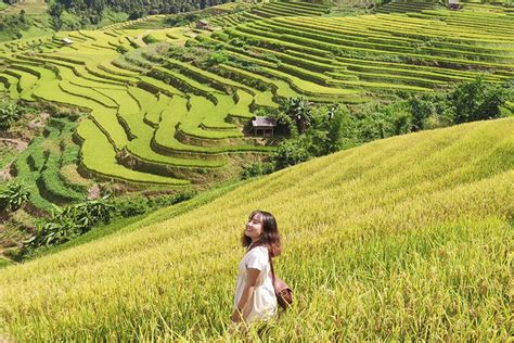 Những trải nghiệm tuyệt vời khi đến Mù Cang Chải mùa lúa chín 🌾