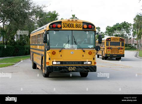 School bus driving down a road that is surrounded by greenery Palm Beach district county ...