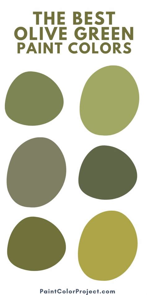 29 Best olive green paint colors for your home - The Paint Color Project