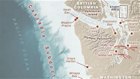 Study: Cascadia earthquake tsunami would reach Bellingham in 1.5 hours | krem.com