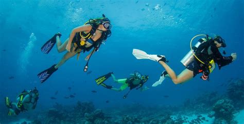 Everything You Need to Know About Shore Diving – Diving Info