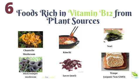 6 Little Known Vitamin B12 Rich Foods From Plant Sources | HealYOUnaturally