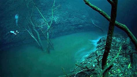 This Underwater River Flows Beneath The Ocean In Mexico