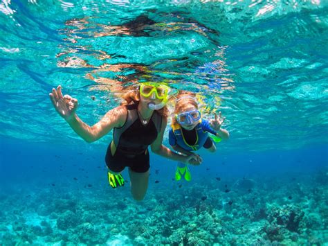 Snorkeling on Anna Maria Island (10 Best Spots + Practical Tips ...