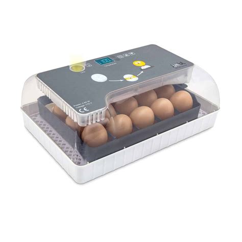 Top 10 Best Egg Incubators in 2021 Reviews | Buyer's Guide