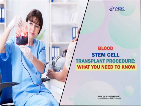 Blood Stem Cell Transplant Procedure: What You Need to Know