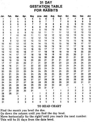 Cattle Gestation Period Chart | Labb by AG