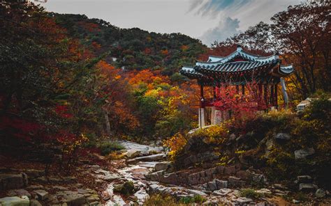 Download wallpaper 3840x2400 pagoda, garden, trees, autumn 4k ultra hd ...