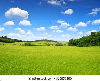 872,967 초원 이미지, 스톡 사진 및 벡터 | Shutterstock