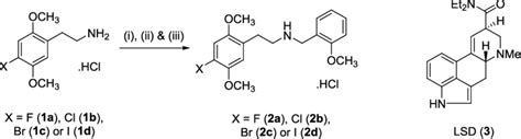 Scheme 1. Synthesis of 25F-, 25C-, 25B-, and 25I-NBOMe·HCl Derivatives... | Download Scientific ...