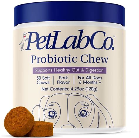 9 Best Probiotics for Dogs with IBD