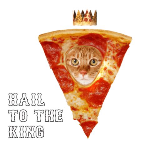 Cat Eating Pizza GIFs - Find & Share on GIPHY