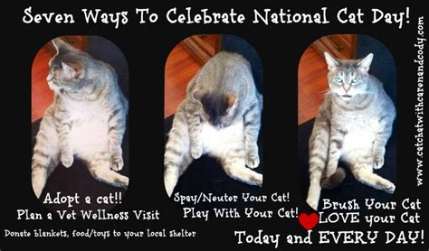 Cat and DOG Chat With Caren: 7 Ways To Celebrate National Cat Day!