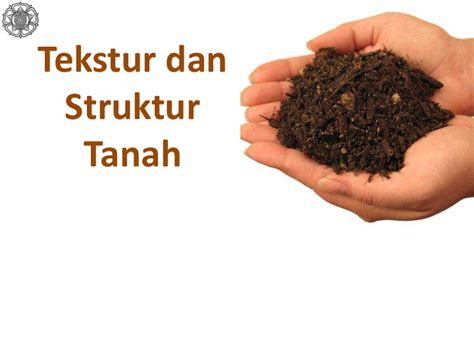 (PDF) Pengamatan Tekstur dan Struktur Tanah | Umi Hani - Academia.edu