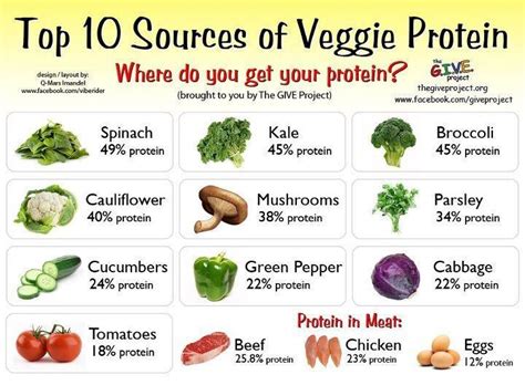 Top 10 Sources of Veggie Protein - Vegetarians Photo (37256173) - Fanpop