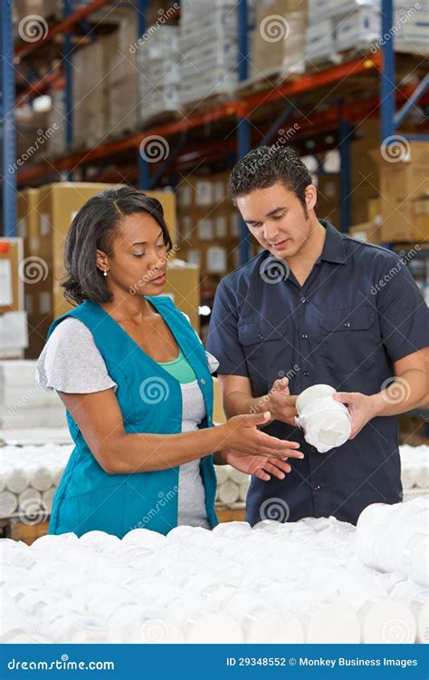 Factory Worker Training Colleague on Production Line Stock Photo ...