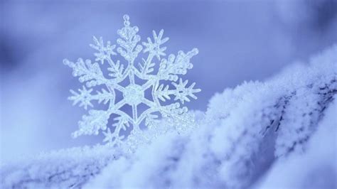 Photos Snowflake Wallpaper HD. | Snowflake wallpaper, Winter wallpaper ...