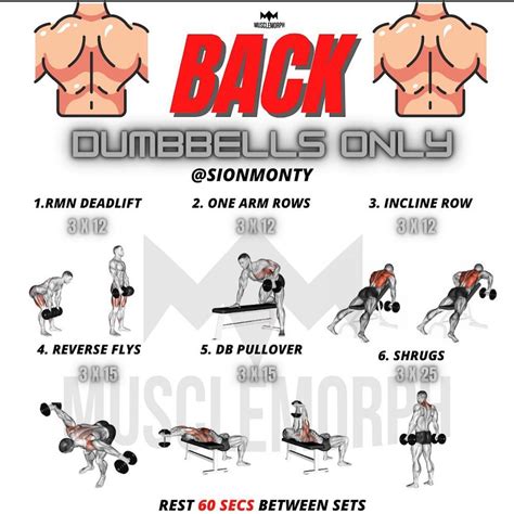 Back Workouts With Dumbbells