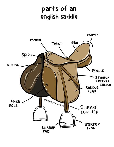 Parts of a Saddle Illustrated + Tips for Identifying & Cleaning ...