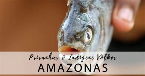 Amazon River - Piranha Fishing & Indigenous Village (Brazil)