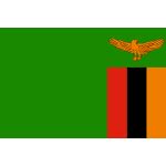 Flag of Central African Republic | Free SVG