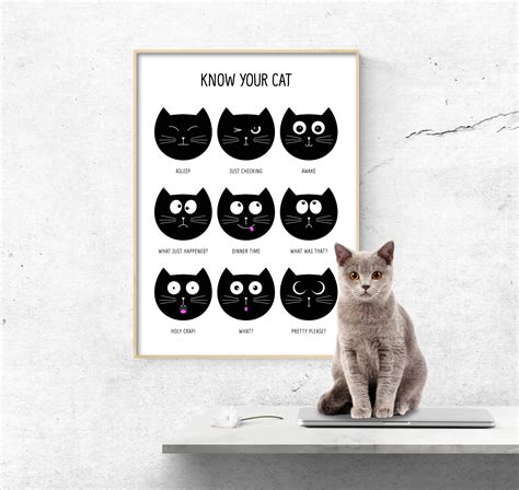 Cat Wall Art Cat Poster Cat Expression Prints Cat Lover - Etsy UK