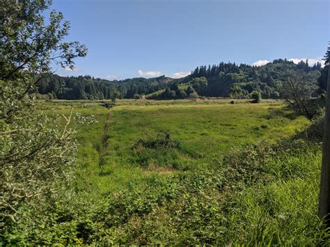 Transforming 11 Acres in Oregon for Critical Fish Habitat :: Weyerhaeuser