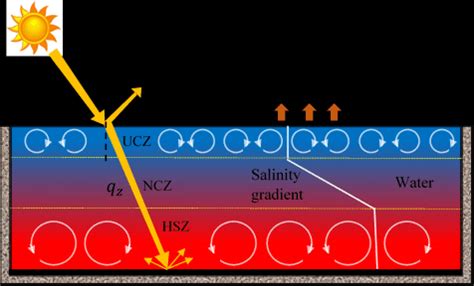 Schematic of a salt gradient solar pond | Download Scientific Diagram