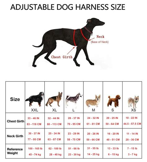 Size Chart For Dog Harness Puppy Harness Size Chart By Breed › Triple ...